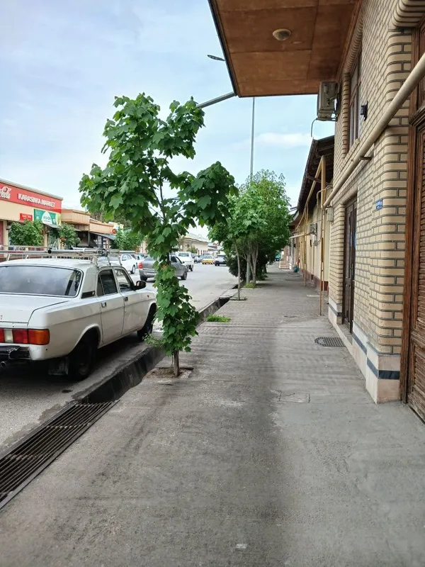 Magazin Ijaraga beriladi yonida yana kata dukon bor bitta kattaroq duk — фото 2 Magazin Ijaraga beriladi yonida yana kata dukon bor bitta kattaroq duk — фото 2