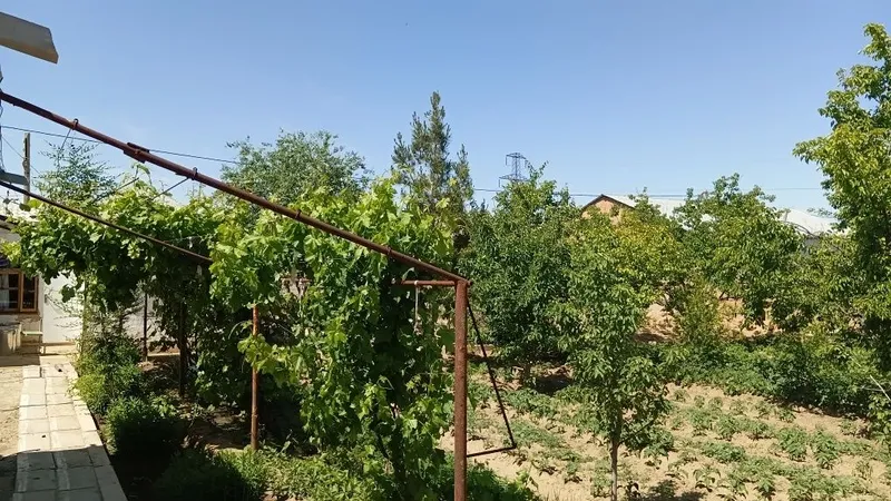Zarafshon shahrida Miraj 2 da hovli sotiladi — фото 9