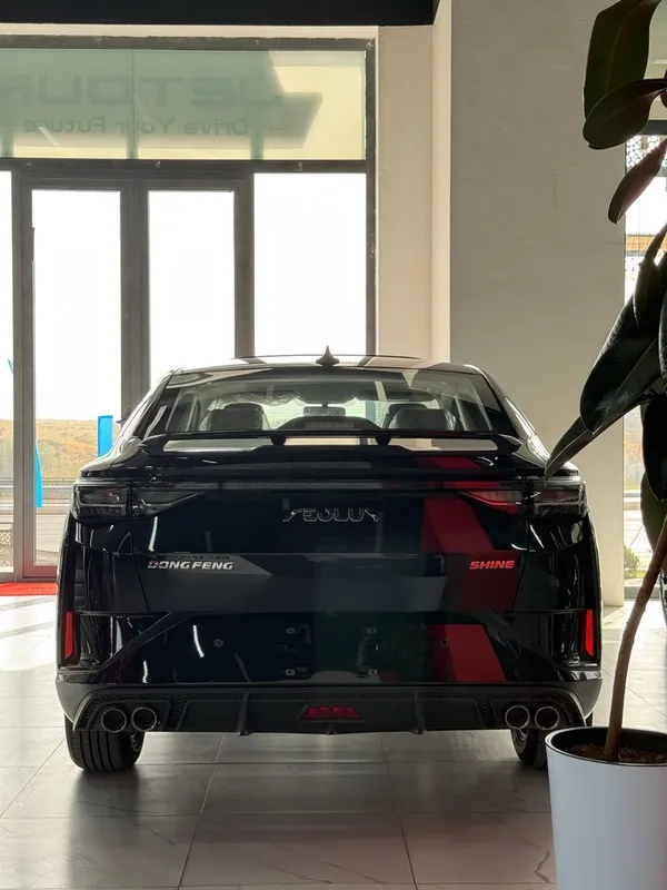 DongFeng Aeolus Shine 1.5 Атмо — фото 6