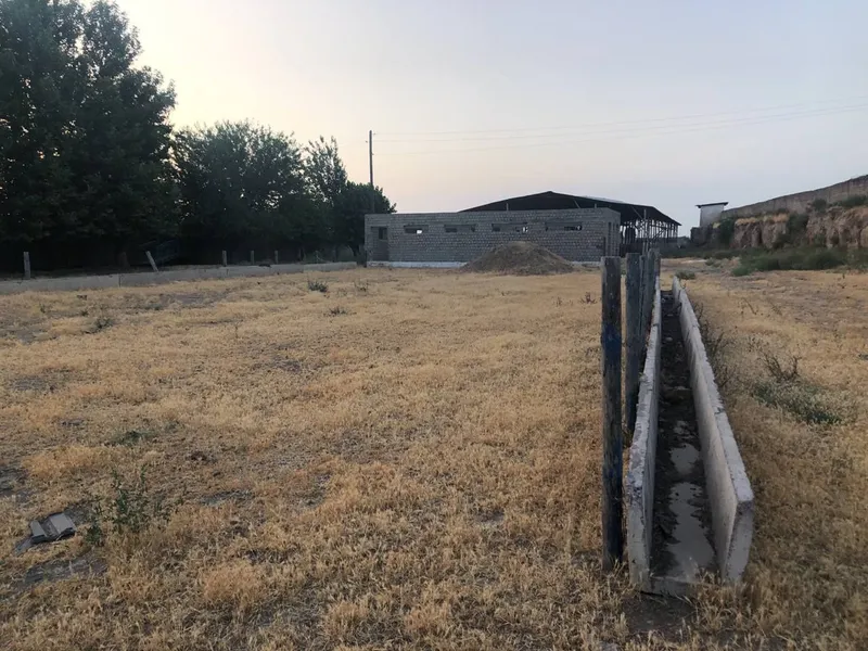 В Янгиюле срочно продаётся дешёвый участок, мой 11 В Янгиюле срочно продаётся дешёвый участок, мой 11