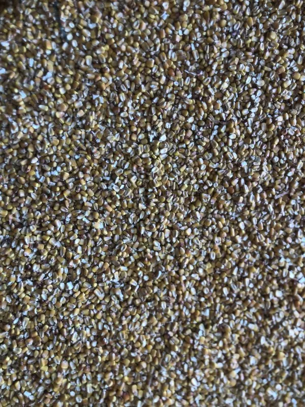 Makka doni sotiladi — фото 1