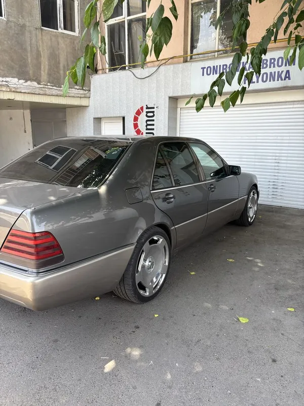 Maesedes 140 karatishka