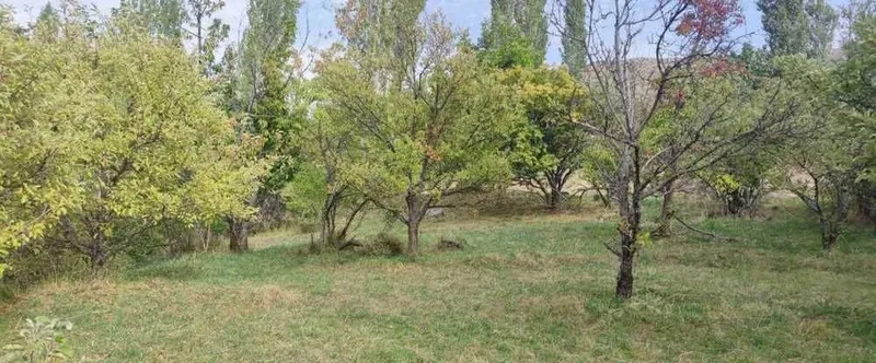 Продаётся участок в Чимгане — фото 3