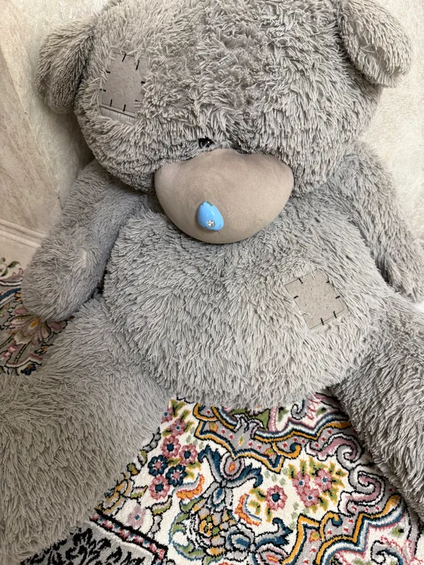 Teddy ayiqcha — фото 1