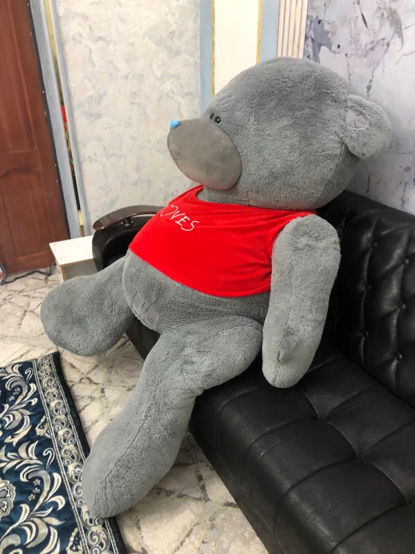 Teddy sotilad sifati ideal surocnaga