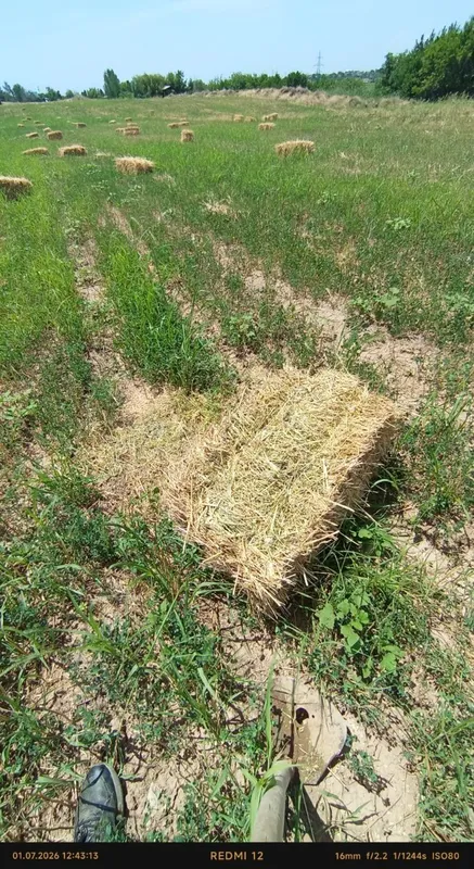 Peda aralash xashek pres bor srochna sotiladi mol va otlarga yaraydi 3