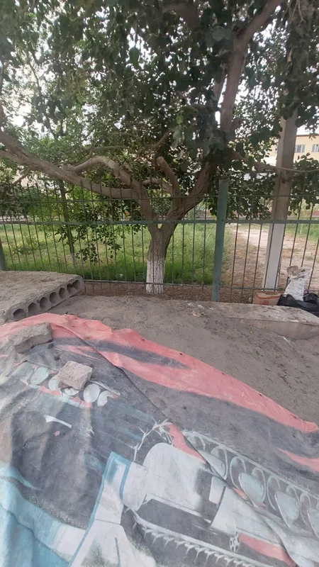 Bepul olib ketsangizlar boldi faqat tezroq — фото 1