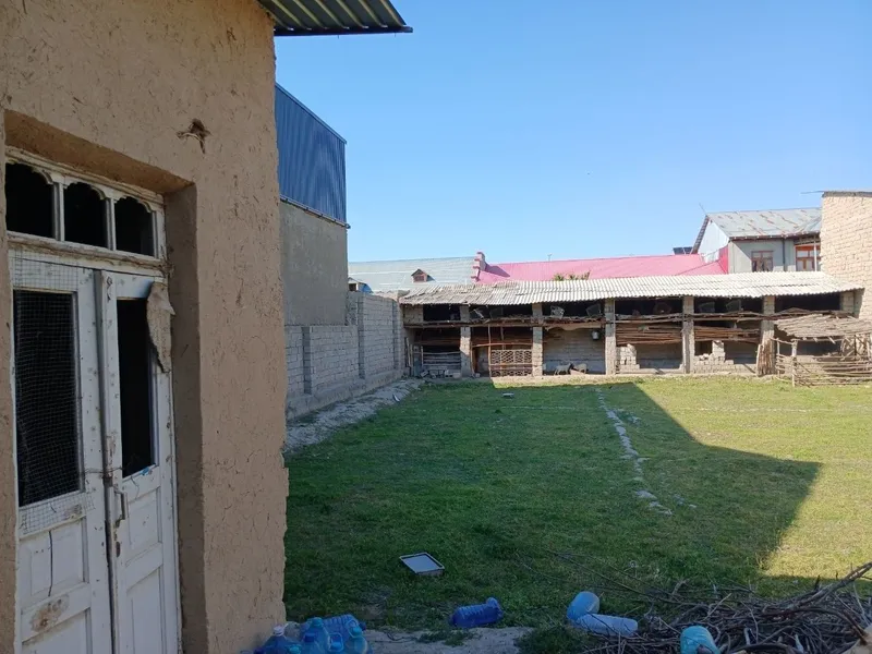 Nayman Jayhun baliqni orqasida 6 sotixli hovli sotiladi 8