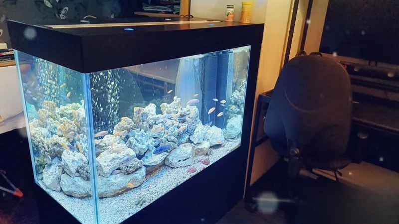 Akvarium: xizmat ko‘rsatish 5 Akvarium: xizmat ko‘rsatish 5