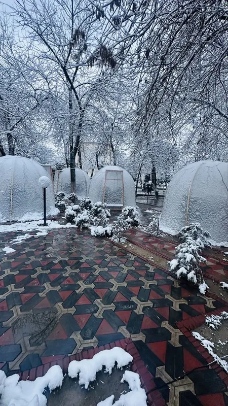 Tayyor kapsulalar sotiladi. 5 Tayyor kapsulalar sotiladi. 5