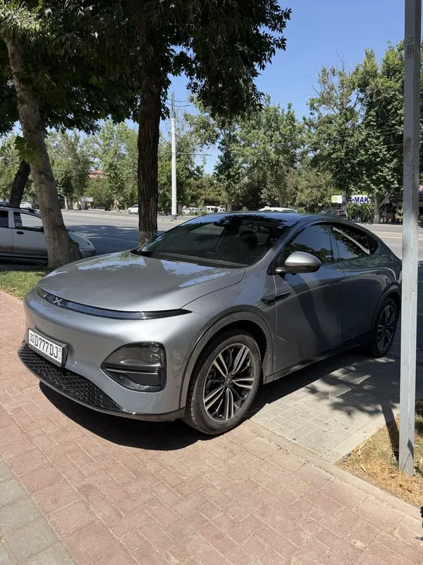 Xpeng G6 доп опция краска тоза 1