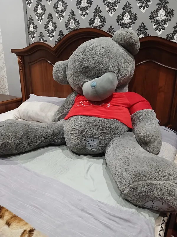 Teddy seriy ayiqcha