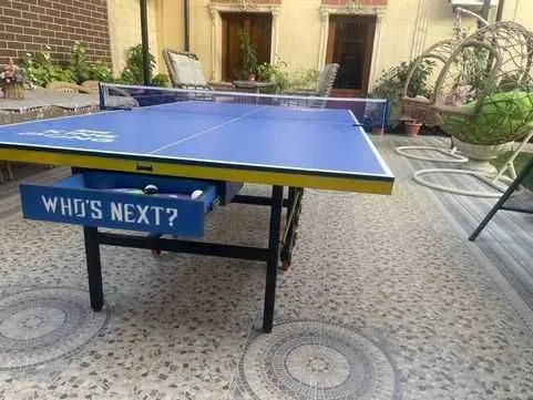 . Теннисный стол /ping pong 1 — фото 3