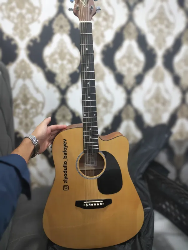 Gitara: Ashton 1