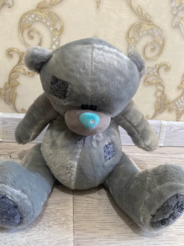 Plush ayiqcha