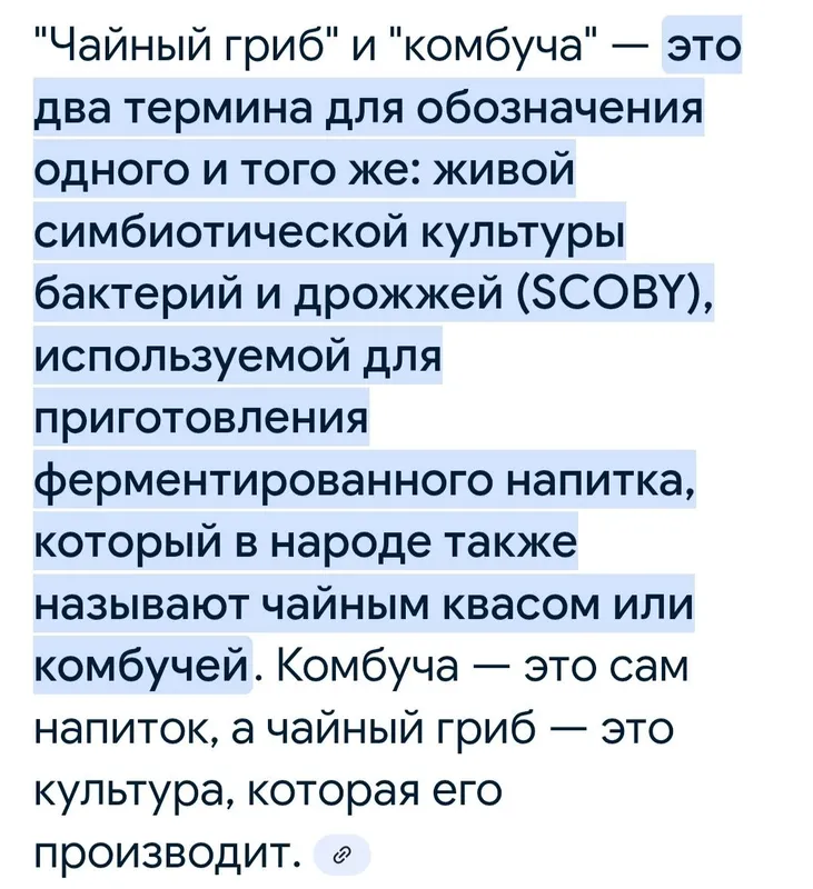 Чайный гриб - Комбуча — фото 2