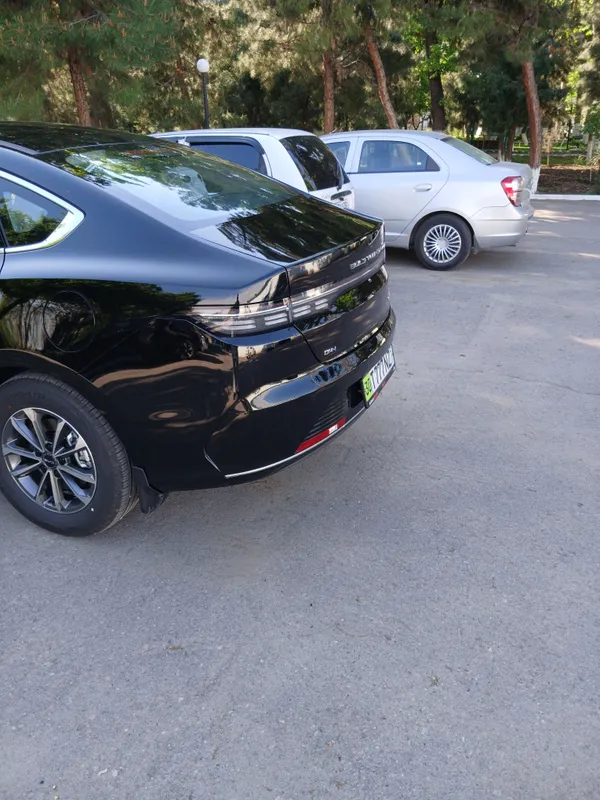 byd chazor 55km 110 mill + 193 mill kredit — фото 2