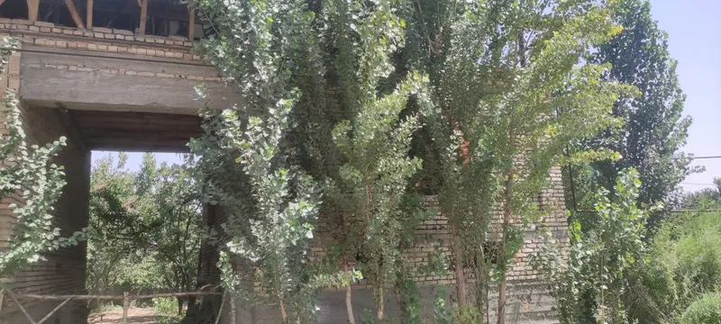 Hovli uy 6sotik 2 etajkaAndijon tuman Terak tagi MFY Yuksak kochasi — фото 5