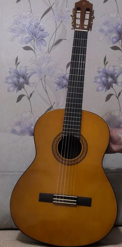 Akustik gitara 1