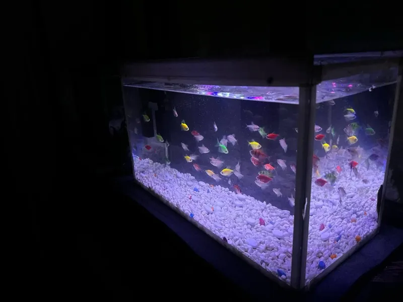 Akvarium full kaplekt 2
