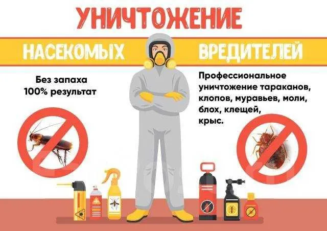 Dezinfeksiya Dizinfeksiya klapa Dizenfeksiya tarakan ilon chayon klopa Dezinfeksiya Dizinfeksiya klapa Dizenfeksiya tarakan ilon chayon klopa