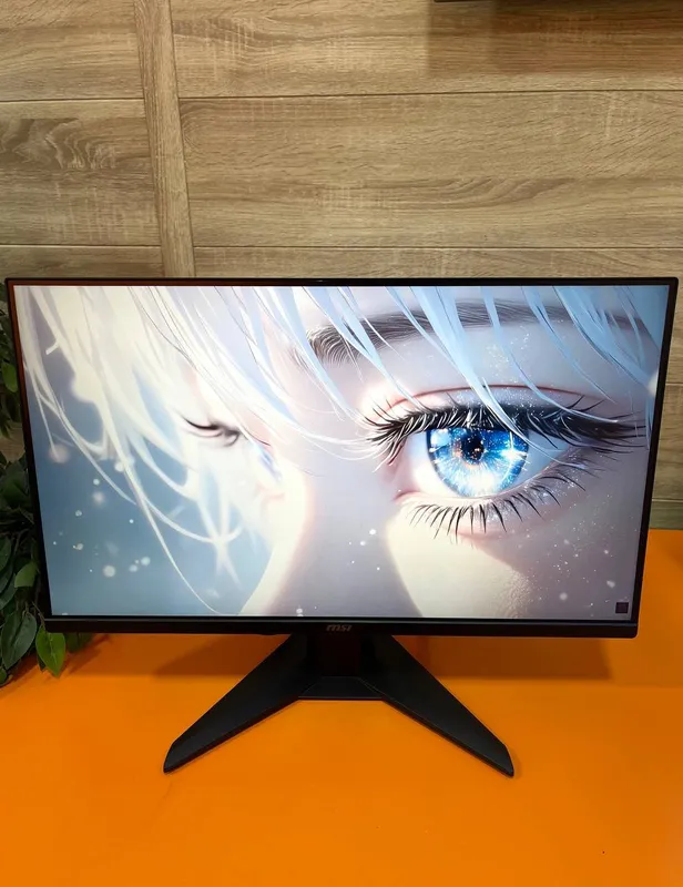 Игровой монитор MSI MAG 255XF