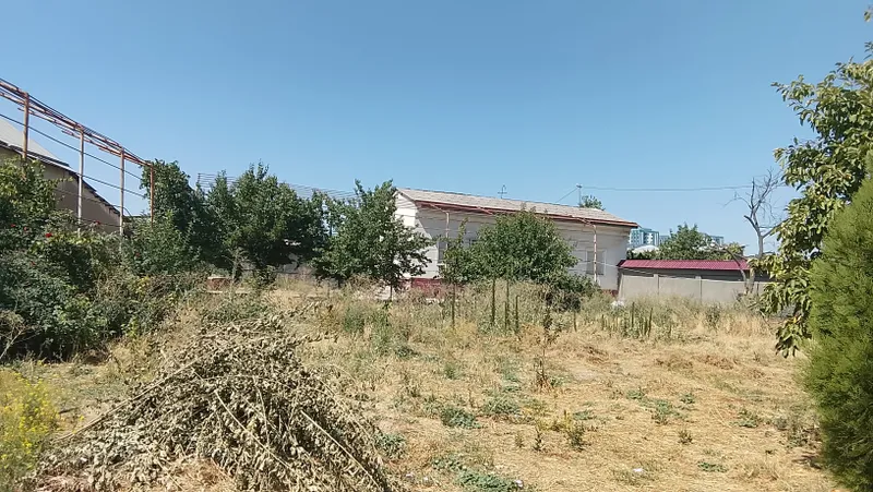 20 соток 3