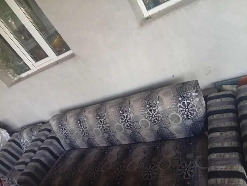 Ugalok sotiladi bitta kotta ikkita kichkina devani bor — фото 1