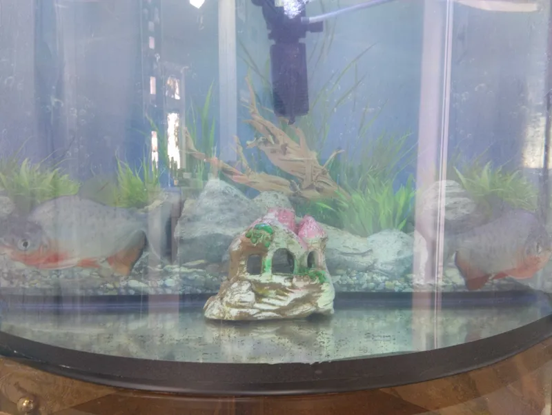 Piranha panco 213141
