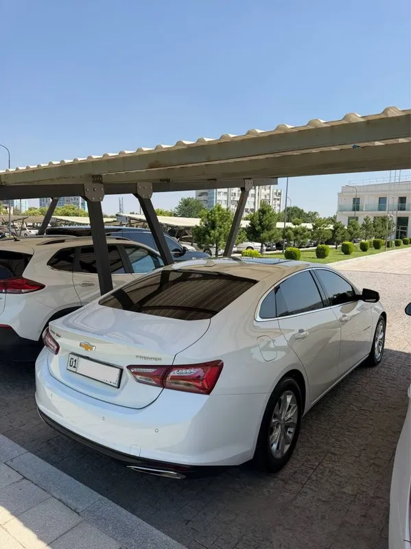 Malibu Premier srochna 3 Malibu Premier srochna 3