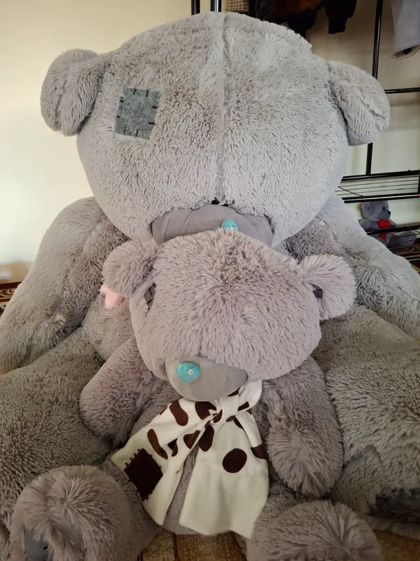 Teddy Bear
