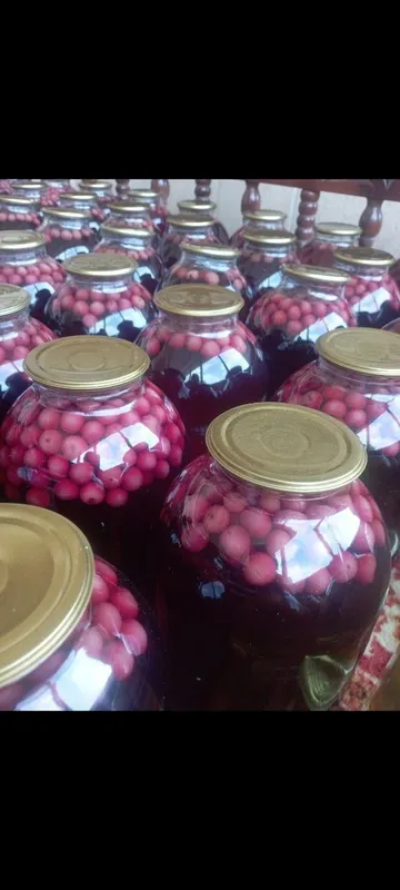 kompot kompot