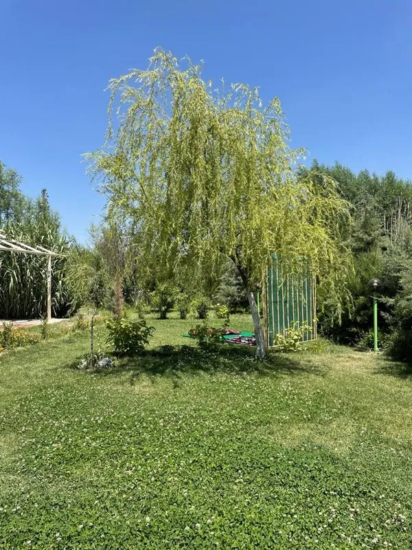 Дача Самарканд | дача АНХОР | dacha samarkand | dacha | Anxor — фото 4