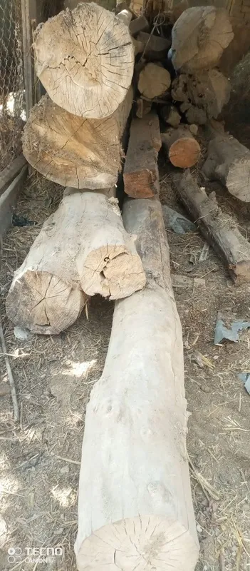 Балка.. кругляк. Бусинка 1