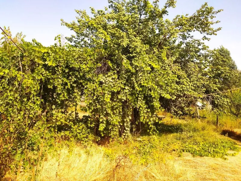 Срочно продам дом 5