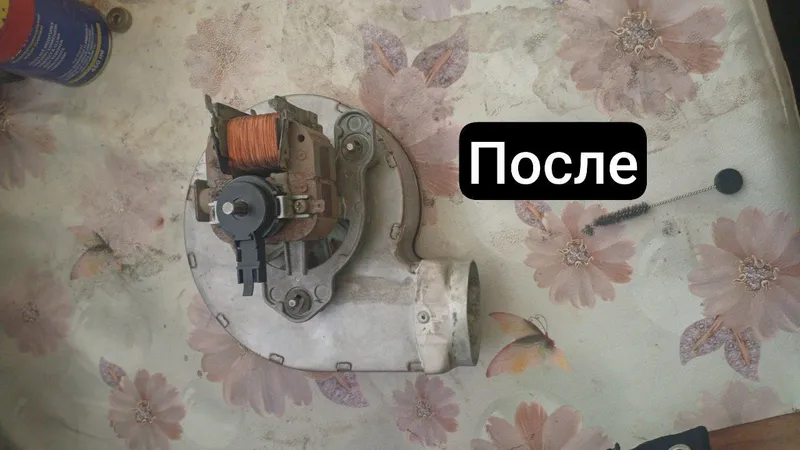Ремонт вентелятора от 2х контурных котлов любой марки — фото 1
