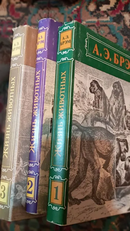 Книги разные, на все вкусы — фото 1