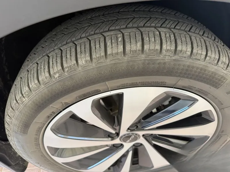 Byd champion DM-I 150tali 5 Byd champion DM-I 150tali 5