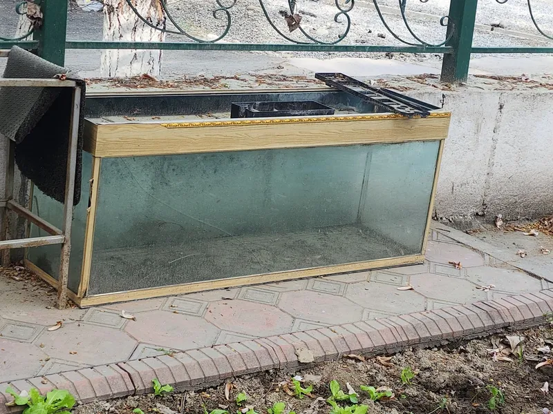 Аквариум большой — фото 1