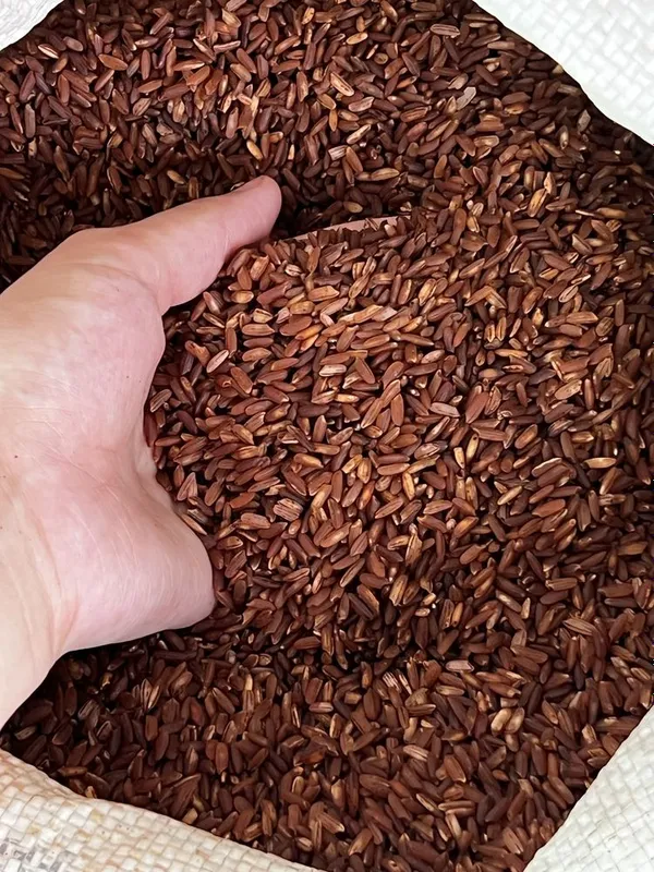 Продукты гуруч андижон — фото 1
