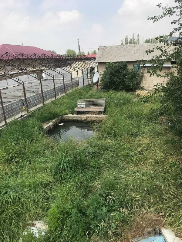 Срочно продается участок 13 соток с готовым рыбхозом Чирчик Саксаната 3 Срочно продается участок 13 соток с готовым рыбхозом Чирчик Саксаната 3