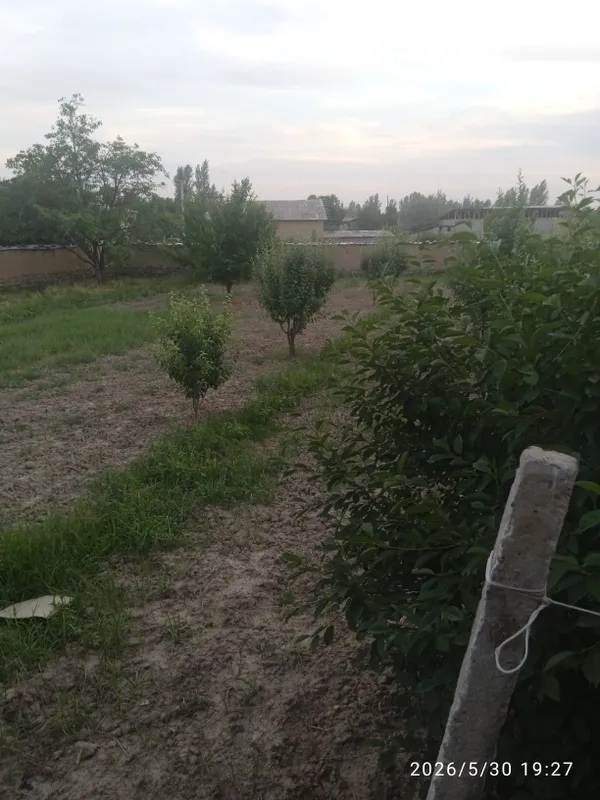 Dala hovli uchun dacha uchun 10 sotix yer sotiladi havosi tozza