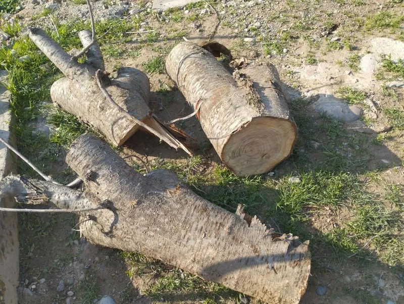 Продаю Дрова мевали — фото 1