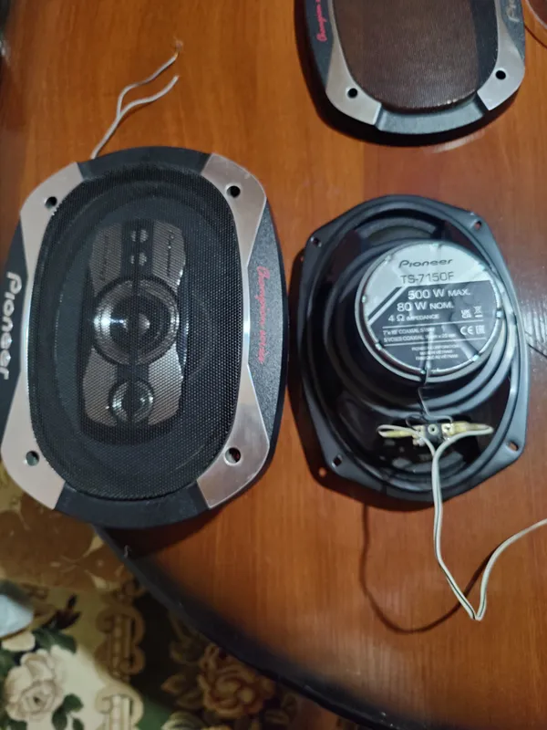 Pioneer kalonka