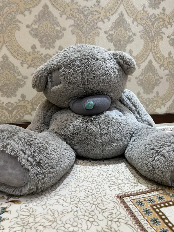 Teddi айик