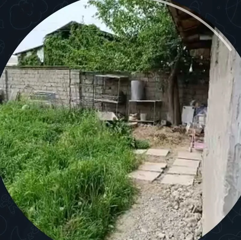 Қибрайда ер участкаси сотилади, ТТЗга яқин! — фото 2