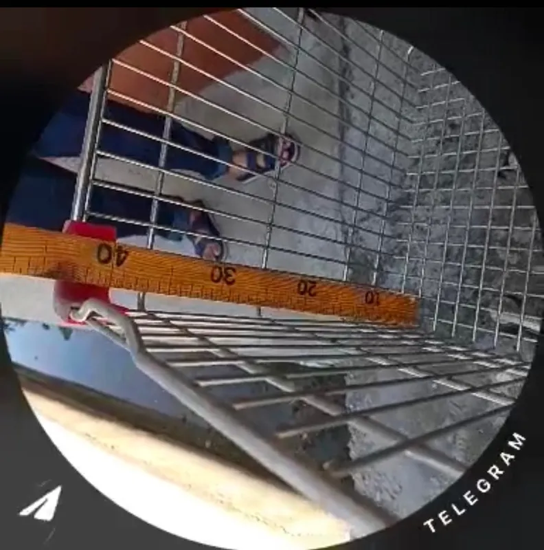 тележка магазинная — фото 4