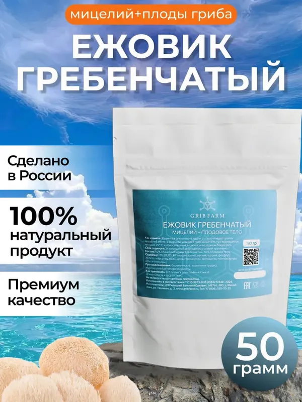 Грибы Ежовик гребенчатый 2