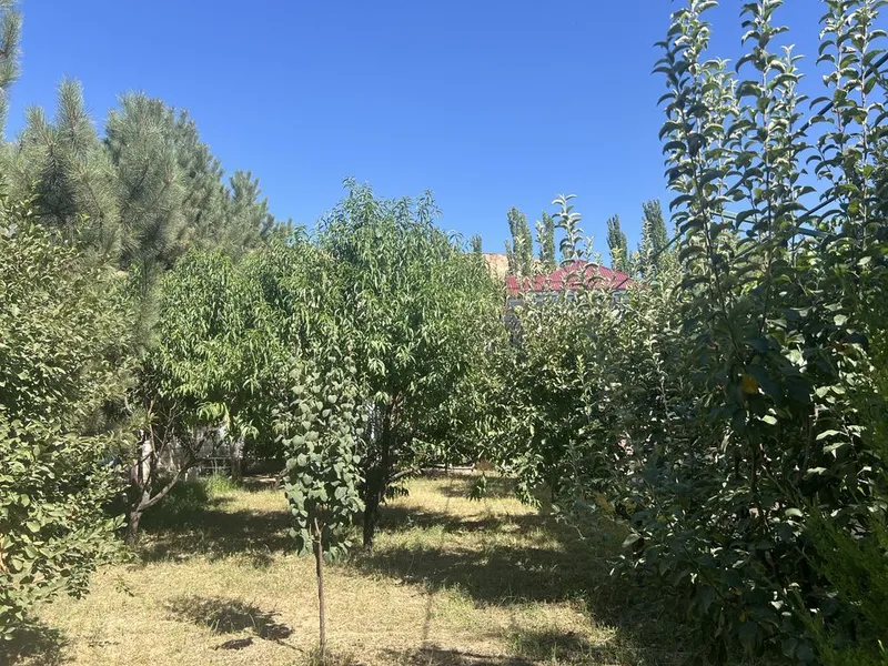 Продаётся загородный дом. Дача. 9