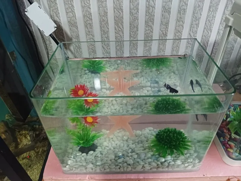 Xitoy quyma akvarium 15 litr komplekti — фото 2